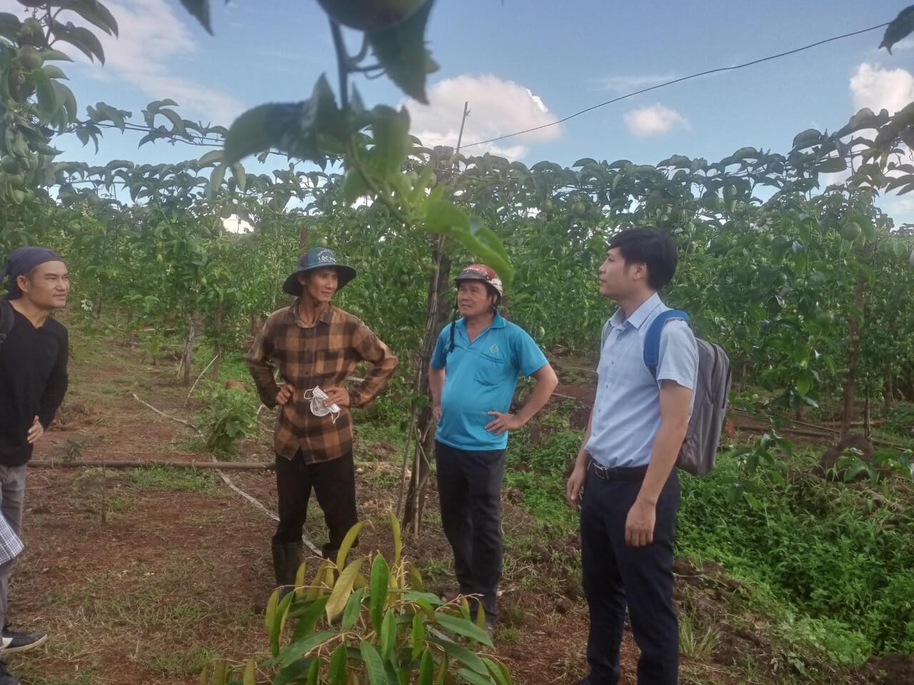 z5299251325191_d00eb9f34a5b74216e7f5e5303042384