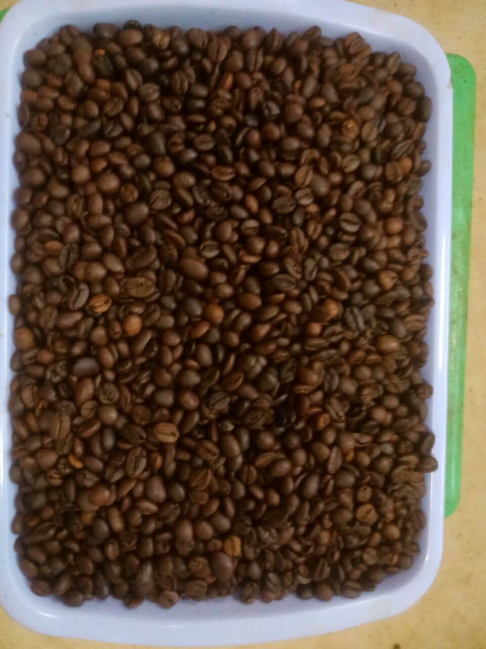 z5299288327565_e4f3451050b1f3d77cacab47219b90b7